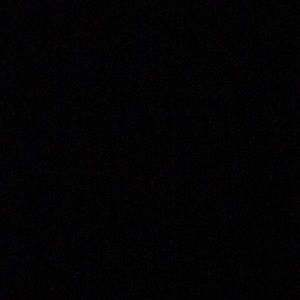 Meet your Posher, Raphael